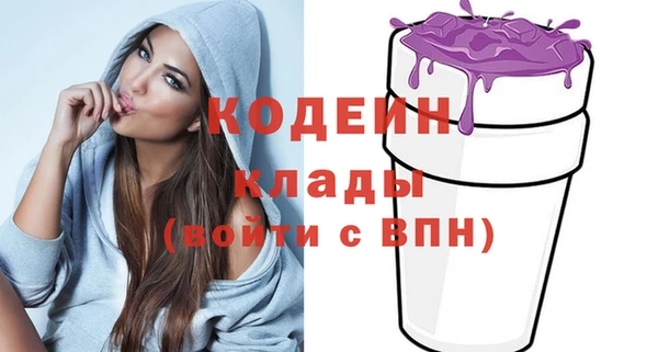 гашик Няндома