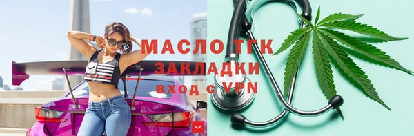 гашик Няндома