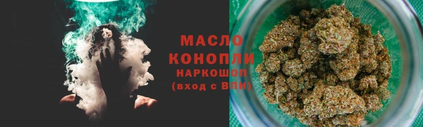 гашик Няндома