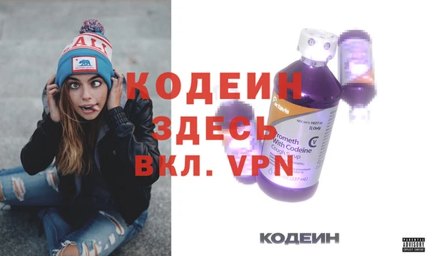 гашик Няндома
