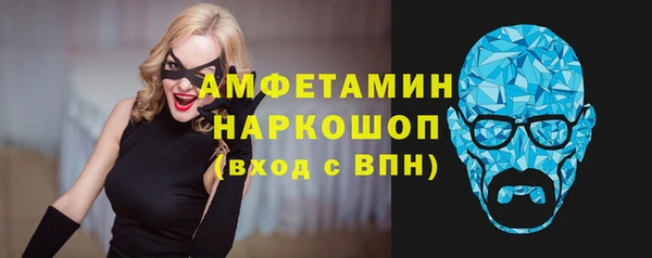гашик Няндома