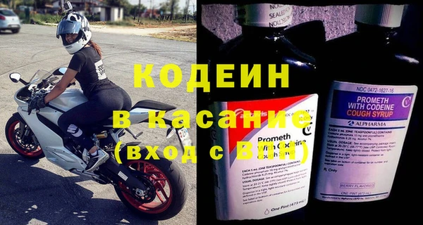 гашик Няндома