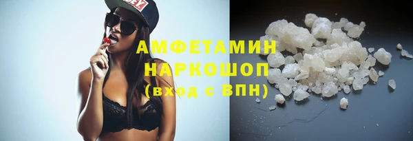 гашик Няндома