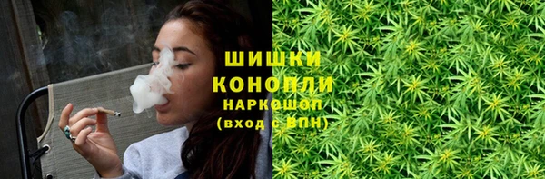 гашик Няндома