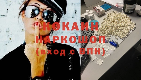 гашик Няндома