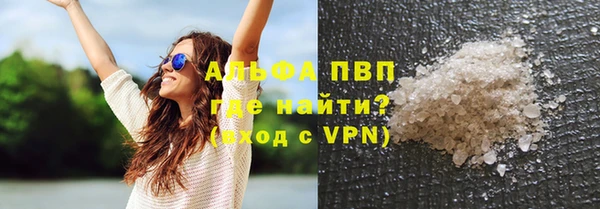 гашик Няндома