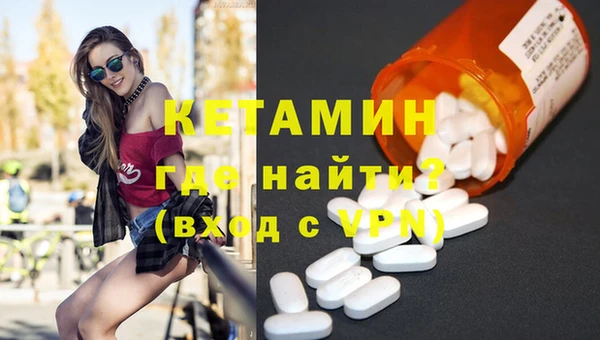 гашик Няндома