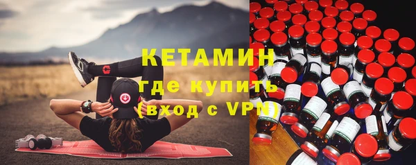 гашик Няндома