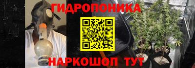 PSILOCYBIN Балаково