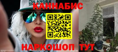 прущая мука Гатчина