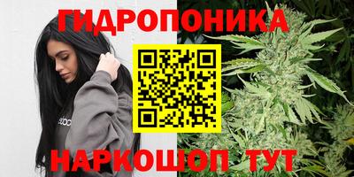 прущая мука Гатчина