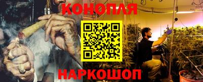 PSILOCYBIN Балаково