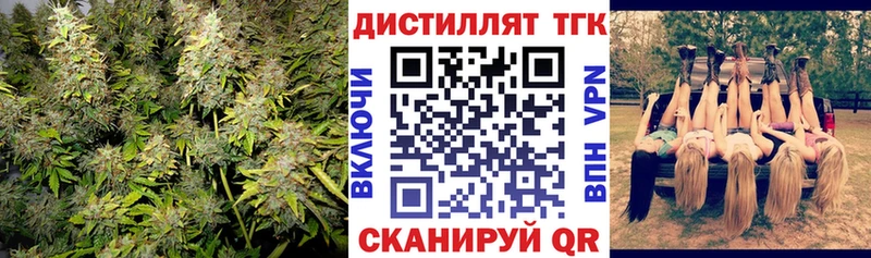 ТГК THC oil  Котлас 