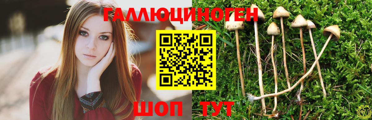 Галлюциногенные грибы мицелий Котлас
